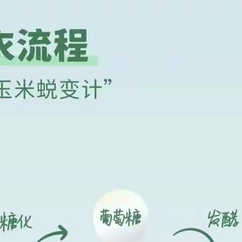 自然而然｜玉米纤维——多功能性环境友好生物质材料，让每个人都能轻松享受绿色环保