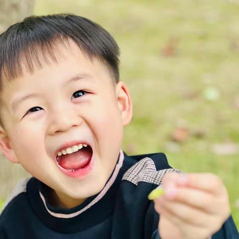 金色种子幼儿园杨宏楠小朋友