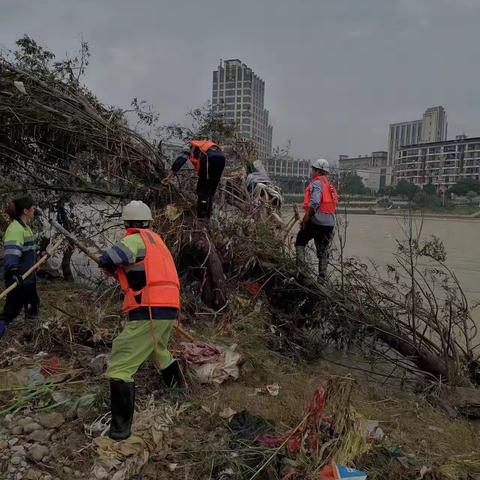 还松溪绿水青山，你我一同见证！——6.18灾后河道容貌恢复，我们在行动！