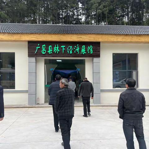 沙洲镇组织考察学习林下经济发展