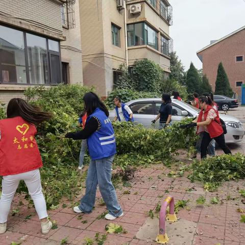 太和桥街道办事处鼓楼南社区环境卫生整治清理行动