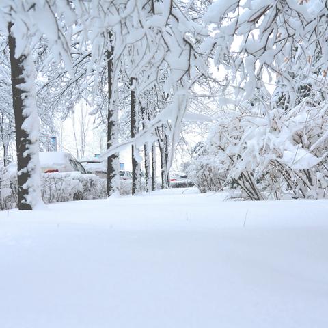 瑞雪兆丰汇，预祝好丰年！