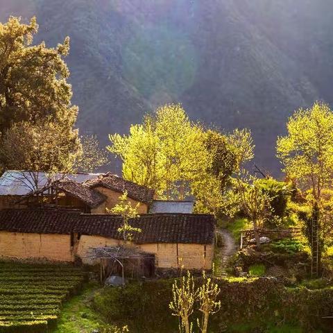 欢迎您来龙泉山景区  万年青民宿  度假休闲避暑