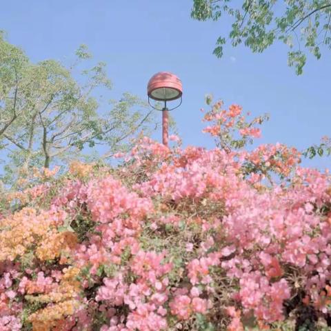 融科天城三期服务中心2023年5月服务报告