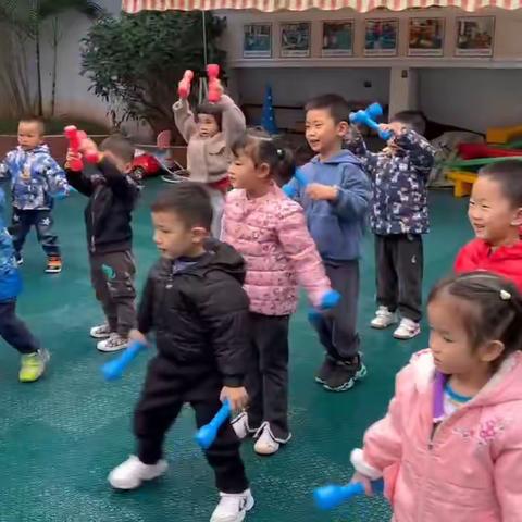 莱茵湖畔幼儿园向日葵班第8周精彩回顾