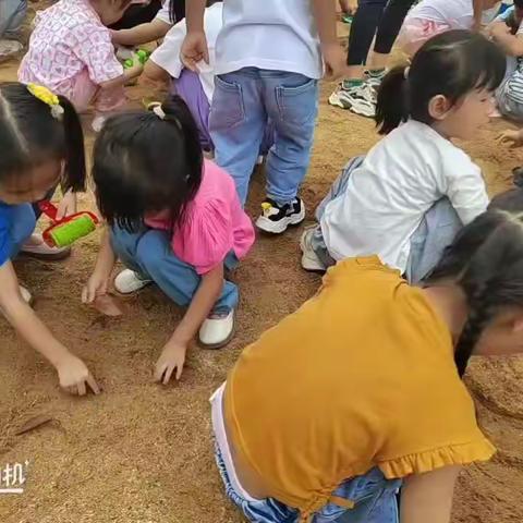 博世幼儿园大C班一周回顾