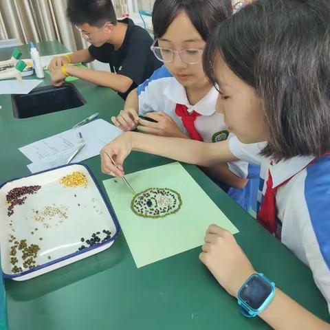 巧建生物模型，探索生命奥秘——种子贴画制作生物模型