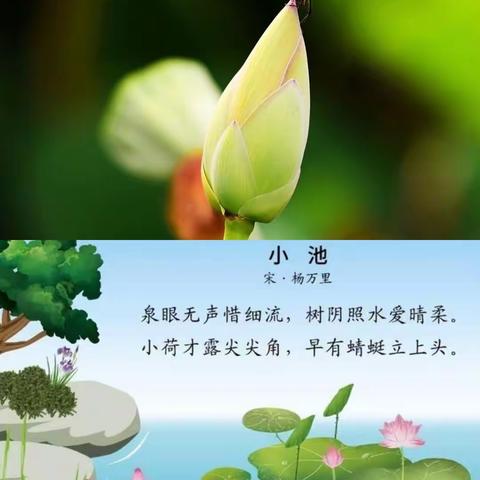 心飞扬，“趣”研学——南昌县洪州汇仁学校一（1）班探索奥秘，感受快乐研学实践活动