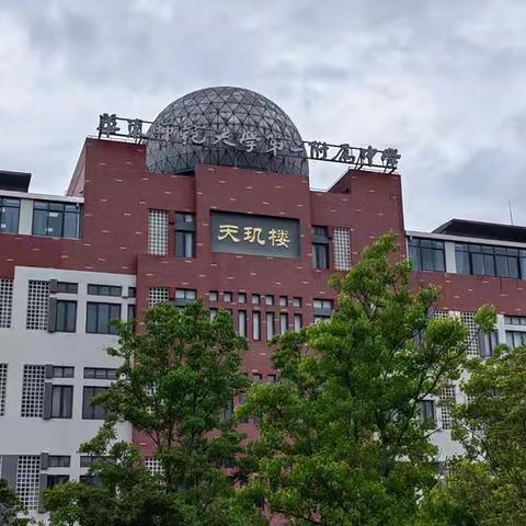 5.17上海华二附初学习日志