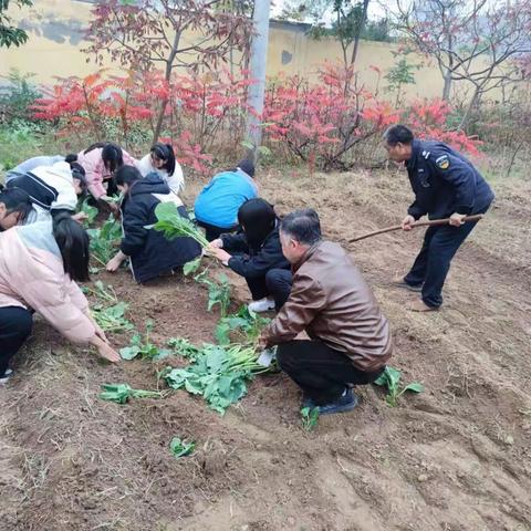 以“劳”树德，以“劳”育美——雨金九年制学校劳动基地实践活动