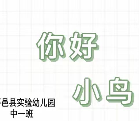 童心爱鸟，守护自然——平邑县实验幼儿园中一班爱鸟护鸟班本课程