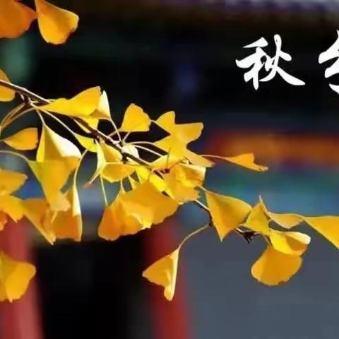 【节气课程】觅时秋分，童享秋趣——乐乐二班秋分节气活动