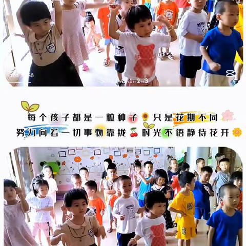 小状元幼儿园第十九周