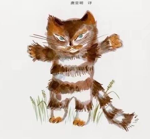 泊庄幼儿园中班——围绕小动物“猫”开展的主题活动