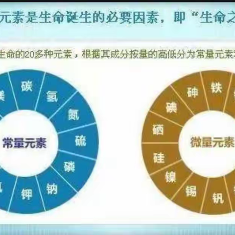 营养健康知识--十二、矿物质-钙（Ca）