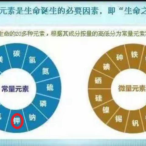 营养健康知识--十四、钾（K）