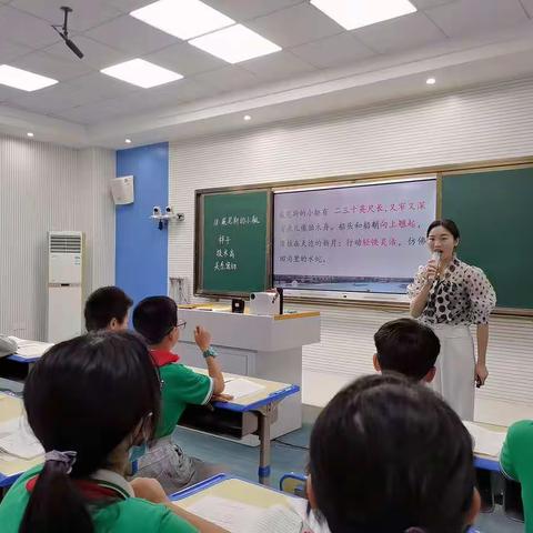 【五年级语文组】悠悠夏日，芬芳教研——记市九小五年级语文片段教学教研活动