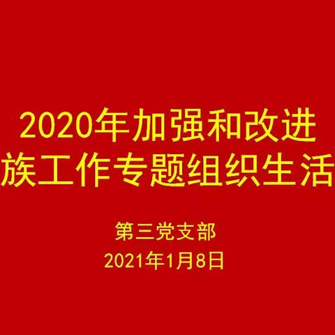 【中共巴彦淖尔市第一中学委员会第三党支部】加强和改进民族工作专题组织生活会