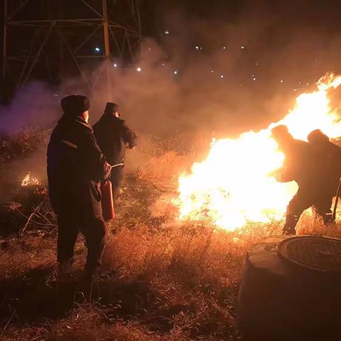 龙湖巡逻队2024元旦灭火纪实