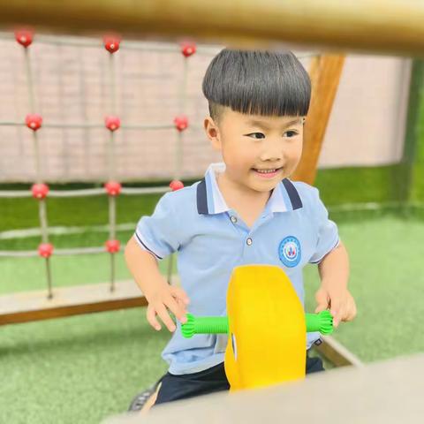 品格书香幼儿园五月第三周专注小鹿班生活记录