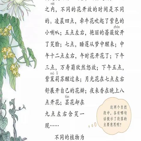第十三课《花钟》课文跟读