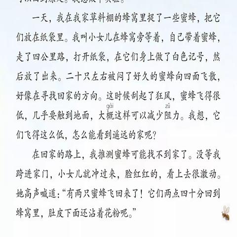 第十四课《蜜蜂》课文跟读
