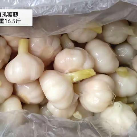 凉拌菜/咸菜系列