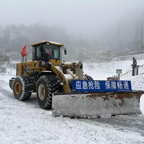 大雪中的橘红色