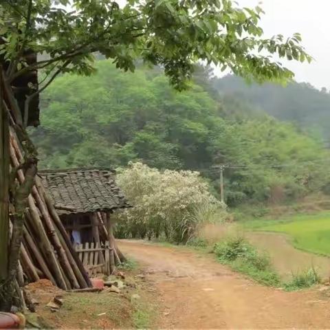 我的村庄，我的童年唯一寄存🛅的地方——广福上寨古标。