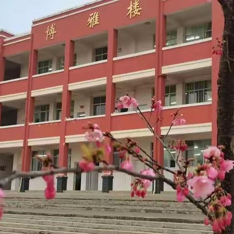 召夸镇大栗树小学春季传染病                  预防小课堂