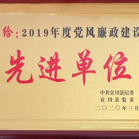 宜川亲友如相问，一片冰心在玉壶——宜川县税务局2019年度党风政风行风齐获好评