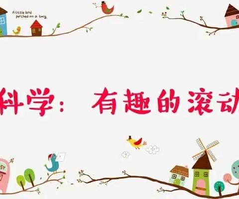 科学活动《有趣的滚动》——金色摇篮幼儿园朵朵一班