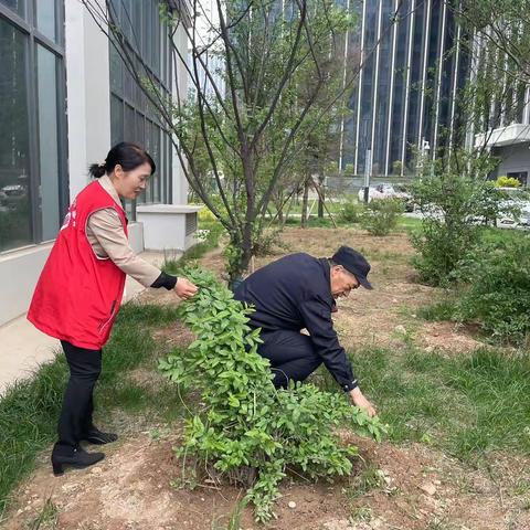 【科普路社区】踏查宣传在行动 禁种铲毒不停歇