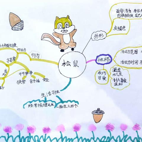松鼠的秘密