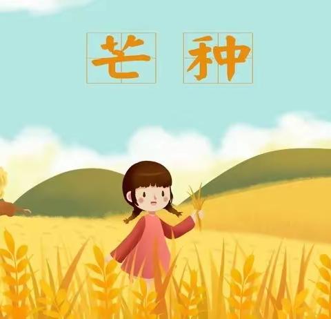 【芒种芒种🌾🌾幸福播种 】—— 启航二班二十四节气之芒种主题教育活动