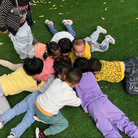 小🐻KA1班——户外奇遇之斑衣蜡蝉