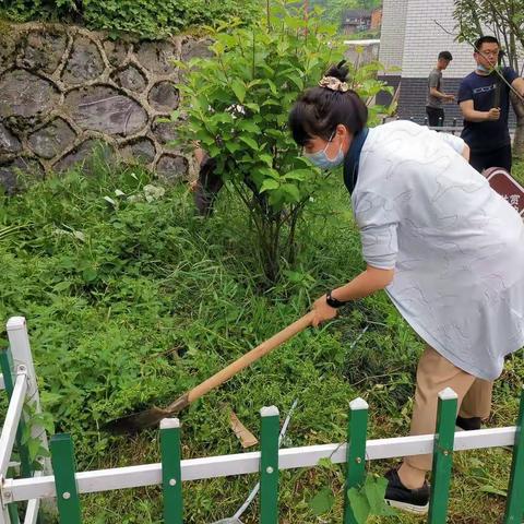 校园文明，党员先行——沅古坪镇中心学校党员义务劳动