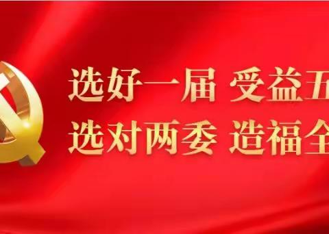 临潭县店子镇六个行政村圆满完成党组织换届选举工作