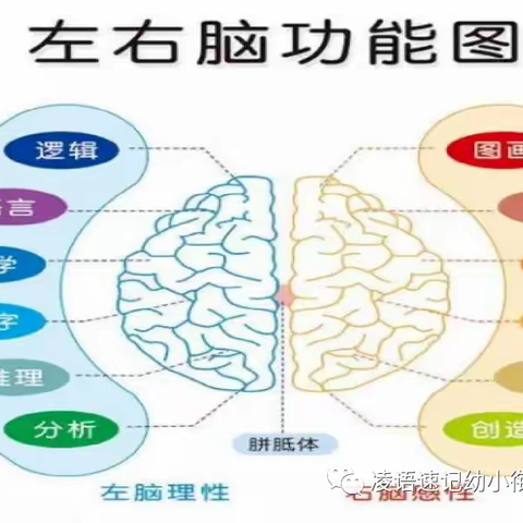 小乖乖幼儿园凌语识字 （延时班）——开启不一样学习方式