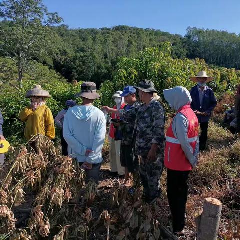 调解纠纷得民心，化解矛盾促和谐