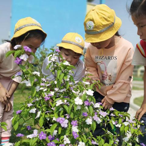 河池市宜州区第五幼儿园大大班“我和春天有个约会”主题活动