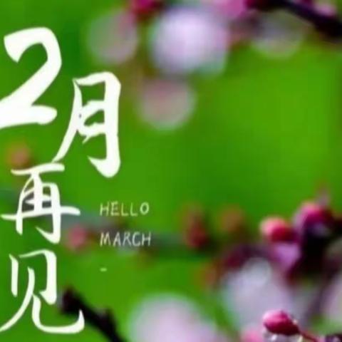 正商向阳广场2月简报