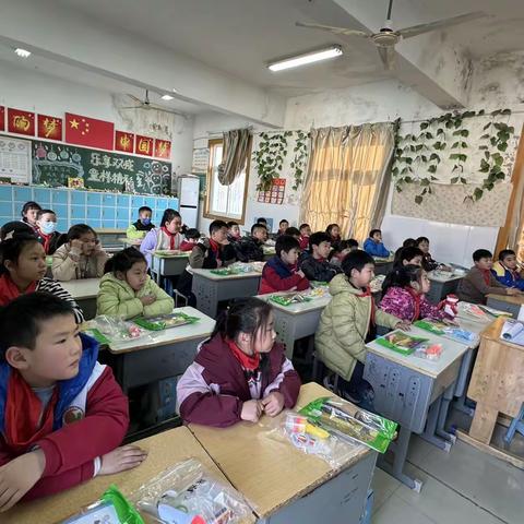 桃园路小学二年级2班鲨鱼公园STEM主题科学课程  lesson2 植食者的眼睛