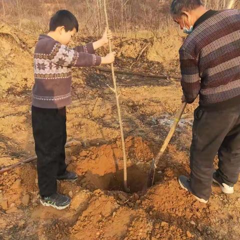 手“植”绿意 拾趣春光——殷都区水冶镇阜城东街小学植树节活动