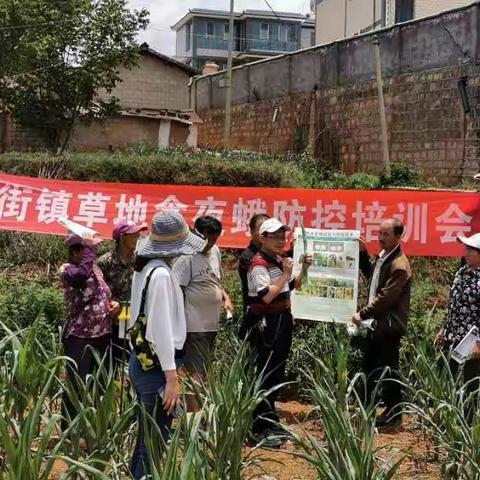 科技人员到田间地头开展草地贪夜蛾防控培训