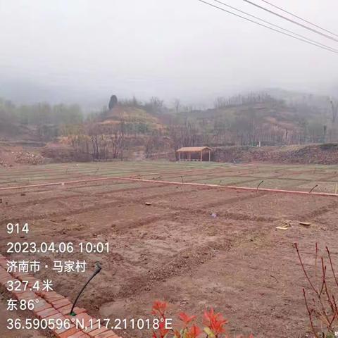 【济南市历城区自然资源局】2023年4月6日土地执法日常巡查工作