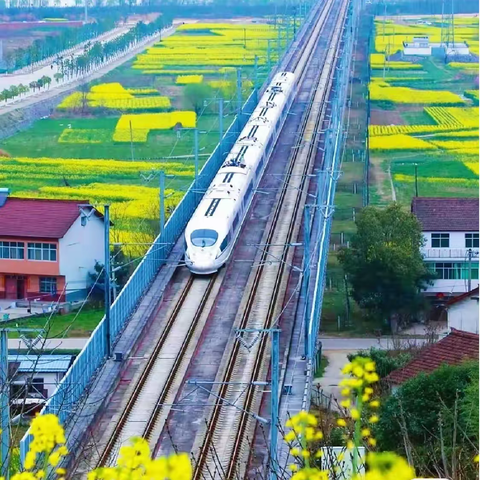 中国最美油菜花海汉中旅游节我当宣传员