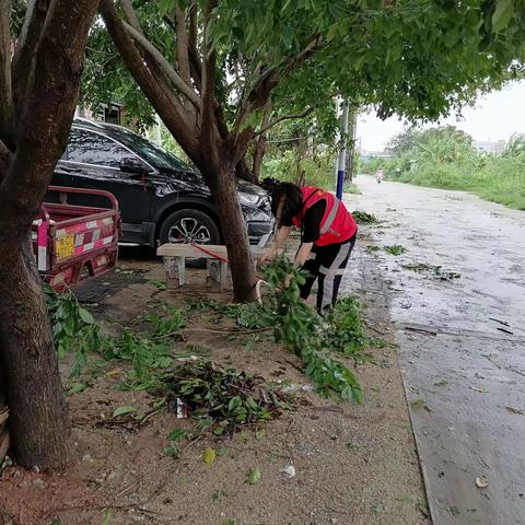 解放社区网格员台风后环境整治工作