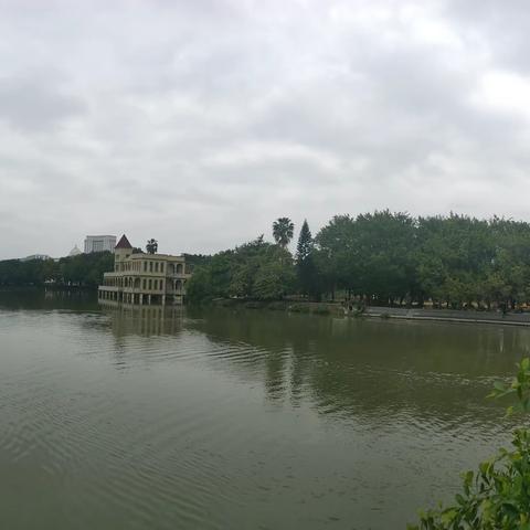 流金岁月的温柔芬芳，火热世界的无畏女王