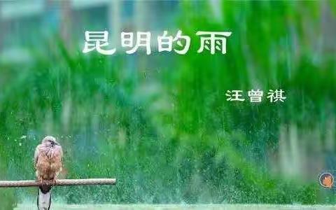 《昆明的雨》课文配图（803班）